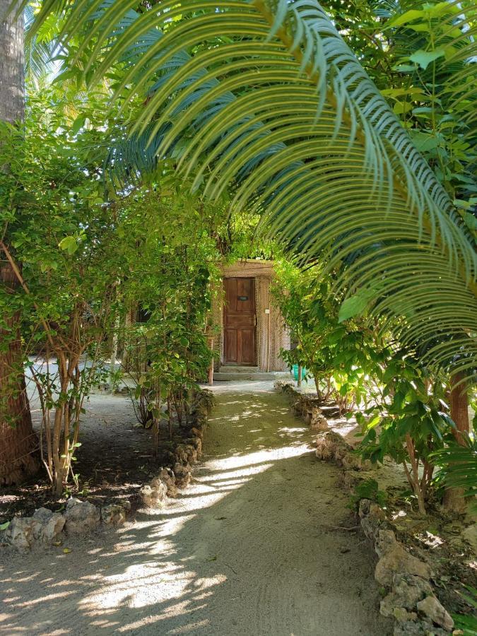 Your Zanzibar Place Paje Exterior photo